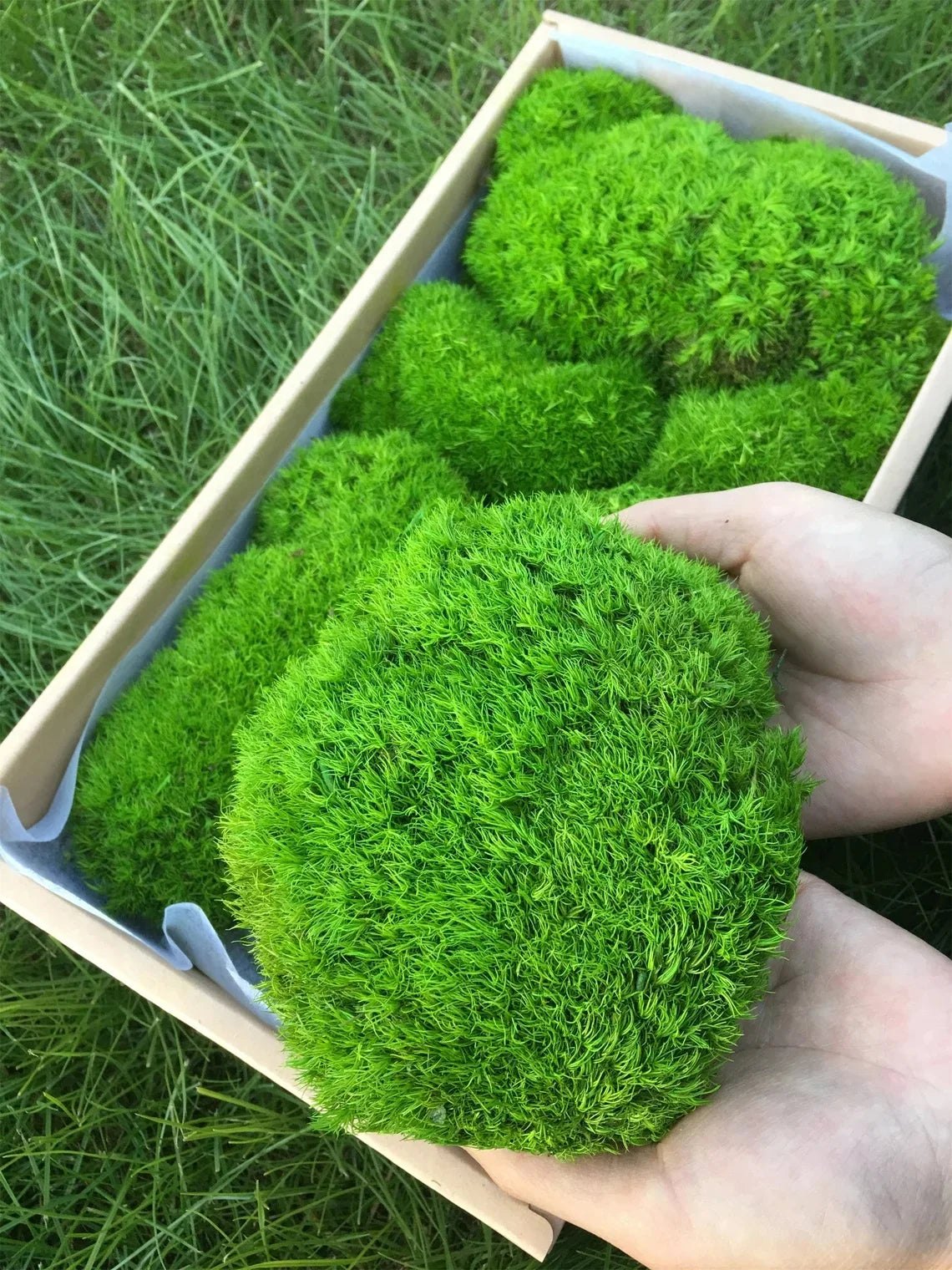 טחב מלאכותי